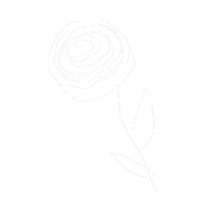 Flower Rose Sticker by IPSAHK