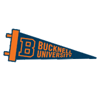 Bucknell bison bu pennant admitted Sticker