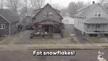 Fat Snowflakes