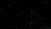 Live Music GIF by Queens of the Stone Age