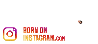 Ajeya Sharmaboi Sticker by BORN ON INSTAGRAM