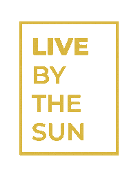 Real Estate Sun Sticker by The Pruitt Team