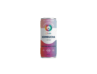 Rainbow Drink Sticker by Circle Kombucha