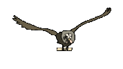 Harry Potter Owl Sticker by Waltermedia