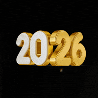 New Year Ano Novo GIF