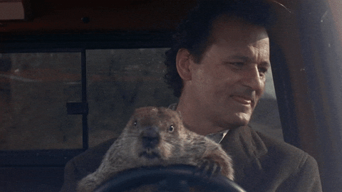 Movie gif. Bill Murray as Phil in Groundhog Day sits in a car with a groundhog on his lap. He smiles and laughs as the groundhog steers.