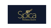 Spica Sticker by spicagayrimenkultr