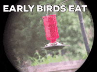 AMPHelper sales wakeup prospecting GIF