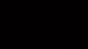 GIF by Payne Records