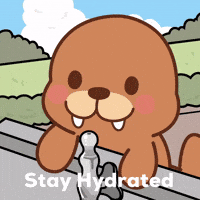 Stay Hydrated Drink Water GIF by FROSTYS