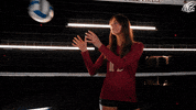 College Athletics Ncaa GIF by Elon Phoenix