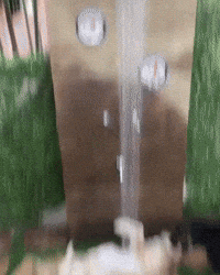 Dog Mood GIF by JustViral.Net