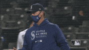 Baseball Win GIF by MLB