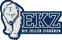 zellereisbaeren eisbären eisbaeren alpshockeyleague zellamsee Sticker