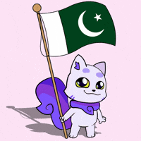 Flag Cricket GIF by Lucky Kat Studios