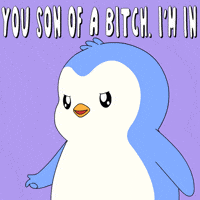 Count Me In Lets Go GIF by Pudgy Penguins