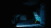 season 2 friends GIF by DREAM CORP LLC