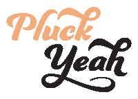 SsekoDesigns ssekodesigns lizbohannon beginners pluck beginnerspluck Sticker