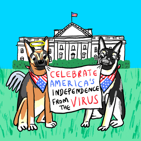 Joe Biden Dogs GIF by Creative Courage
