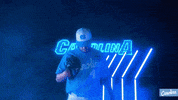 North Carolina Baseball GIF by UNC Tar Heels