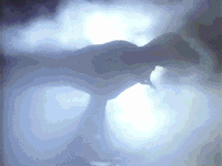 ban privileges GIF