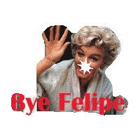 bye felicia goodbye STICKER by imoji