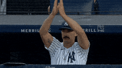 Happy New York Yankees GIF by YES Network