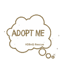 Take Me Home Sticker by HDBnQ Rescue