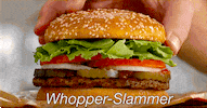 hunger GIF