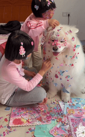 cuteanimalland giphyupload GIF