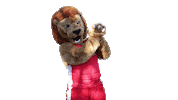 BryanCollege mascot lion leo the lion bryan college Sticker