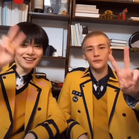 Stray Kids Jeongin GIF