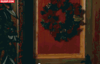 la noel GIF