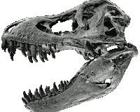 T-Rex Dance Sticker by amaurs