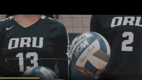 Golden Eagles Oru GIF by Oral Roberts University