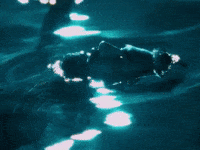 Musicvideo GIF by EMPIRE