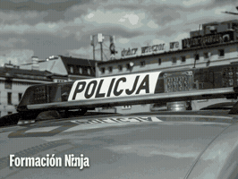 Poland Zeta GIF by Formación Ninja