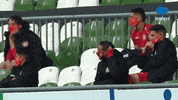 Bundesliga Reaction GIF by MolaTV