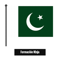 Flag Bandera Sticker by Formación Ninja