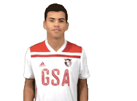 Soccer Gsa Sticker by Gateway Sports Academy