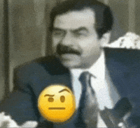 Saddam Hussein Iraq GIF