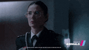 animalsseason3 GIF