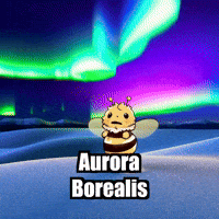 Northern Lights Night GIF by Beelightened