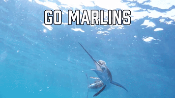 Go Marlins