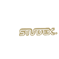 studex gift piercing earring koszonom Sticker