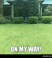 Happy On My Way GIF by GifGari