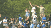 chicago cubs GIF by MLB