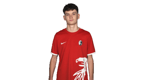 Sc Freiburg Arms Sticker by Bundesliga