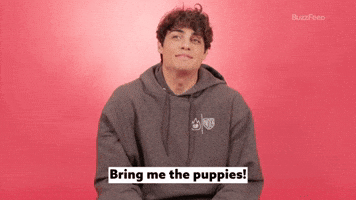 Bring Me The Puppies