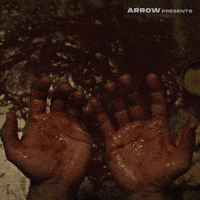 Film Horror GIF by Arrow Video